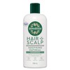 Dermaveen Buy Dermaveen Oatmeal Shampoo 500ml Online
