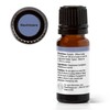 Plant Therapy Ravintsara Essential Oil 10 mL (1/3 oz) 100%