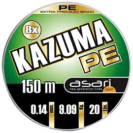 B/100m ASARI KAZUMA 8X PE 0,25mm