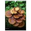 Mushrooms (Wall Calendar 2025 DIN A4 High), CALVENDO Monthly Calendar