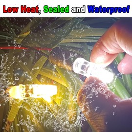 12 Volt Low Voltage Wedge Base Led Landscape Bulbs T5 T10 3W 300lm,T5 Malibu Path Garden Light Bulbs,921 922 912 194 168 T10 RV Camper Trailer Motorhome Marine Boat Dome Light,2700K Warm White,10 Pack