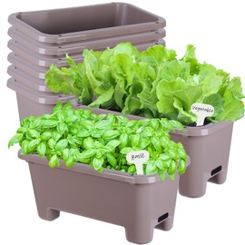 Oliz Self-Watering Rectangle Planter Boxes 8-Pack, 15.7-Inch Window Box Planter with Drainage Holes & Trays, Pots for Vegetables, Herbs, Flowers, Garden Windowsill Balcony (Coffee)