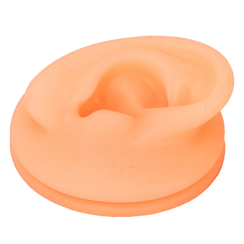 Silicone Ear Acupuncture Practice Model Reusable Simulation Ear Display Model
