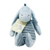 Hundred Acre Wood Eeyore Soft Toy 20cm