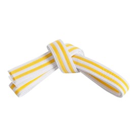 Mastery Little Dragons (White belt/double yellow stripe, 0)