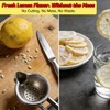 Freeze Dried Lemon Slices, No Sugar Added, 100% Natural Lemon,