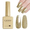 CANNI Gel Polish Gold, 1Pcs Gold Glitter Gel Nail Polish