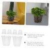 CAXUSD 6pcs Transparent Orchid Pots with Drainage Holes Clear Nursery