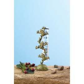 Ancient Graffiti Cast Brass Frog Rain Gauge