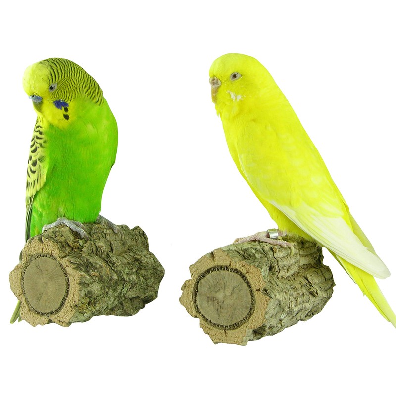 VogelKing 2 Knabber-Korkast Sitzstangen