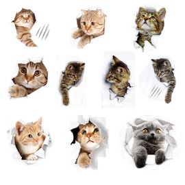 Basetousual Pack of 10 Car Stickers Cat, Cat Stickers, Kitten Car Stickers, Waterproof, Removable for Car Windows, Bathroom, Bedroom
