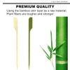 HOPELF 3.5 inch Bamboo Paddle Picks Skewers Toothpicks for Cocktail，Appetizers，Fruit，Sandwich，Barbeque