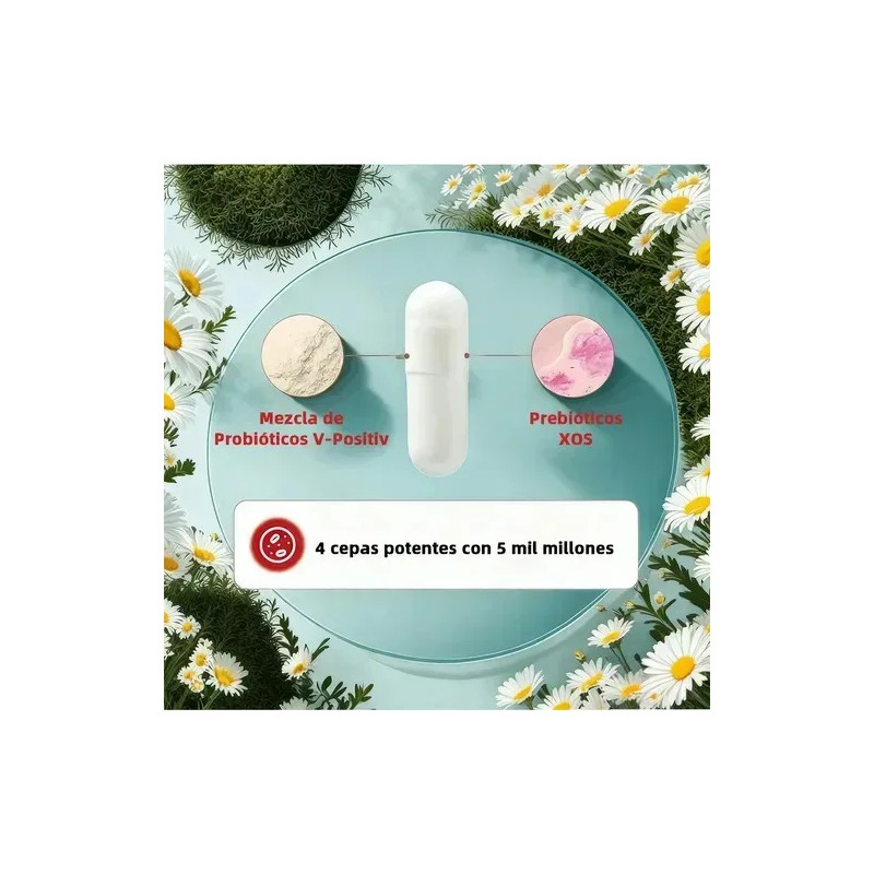 Suplemento Probióticos Vitamina Cápsula Caja 60piezas