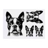 4 x 'Boston Terrier' Temporary Tattoos - Water Resistant, Skin-Safe,