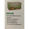 ZenNatura Te Verde Con Jengibre Y Canela 2 Pack 60