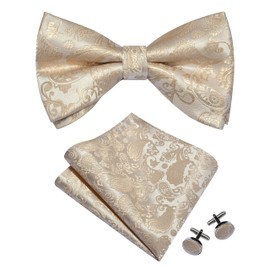 GUSLESON Champagne Bow Tie Pocket Square Set for Wedding Pre-Tied Silk Beige Paisley Bowties Handkerchief Cufflinks for Men (0497-20)