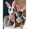 Easter Dog Bandana - Set of 4 Reversible Triangle Bibs