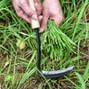 Elegital Kana Hoe 217 Japanese Garden Tool - Hand Hoe/Sickle