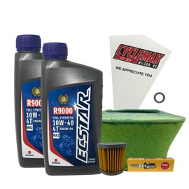 Cyclemax Full Synthetic Tune Up Kit with Spark Plugs compatible with 2000-2009 Suzuki DR-Z400