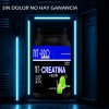 Suplemento Creatina + Glutamina Nit-pro 1kg En Polvo Sabores