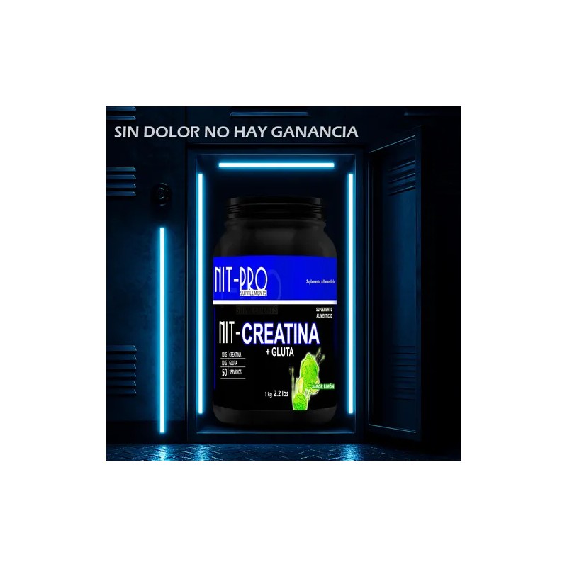 Suplemento Creatina + Glutamina Nit-pro 1kg En Polvo Sabores