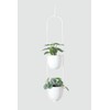ABETREE Hanging Planters 2 Tiers Metal Plant Hangers for Indoor