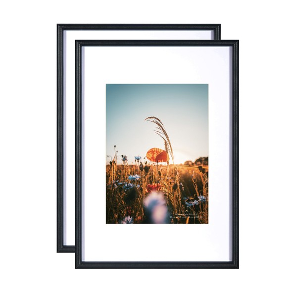 Baoee Black Wooden A4 Frames, Picture Frames Set of 2,Poster