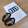 BEIFENG Auto Locking Carabiner 25KN Professional Rock Climbing Carabiner Obtained