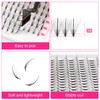 TDANCE Premade Fans Eyelash Extensions Premade Wispy Lash Extensions Middle