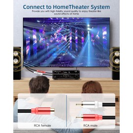 RIIEYOCA 2 x RCA Y Splitter Cable Short RCA Female to 2RCA Male Subwoof Cable for Speaker, Amplifier, Stereo, Home Cinema (0.3 m/1 ft)