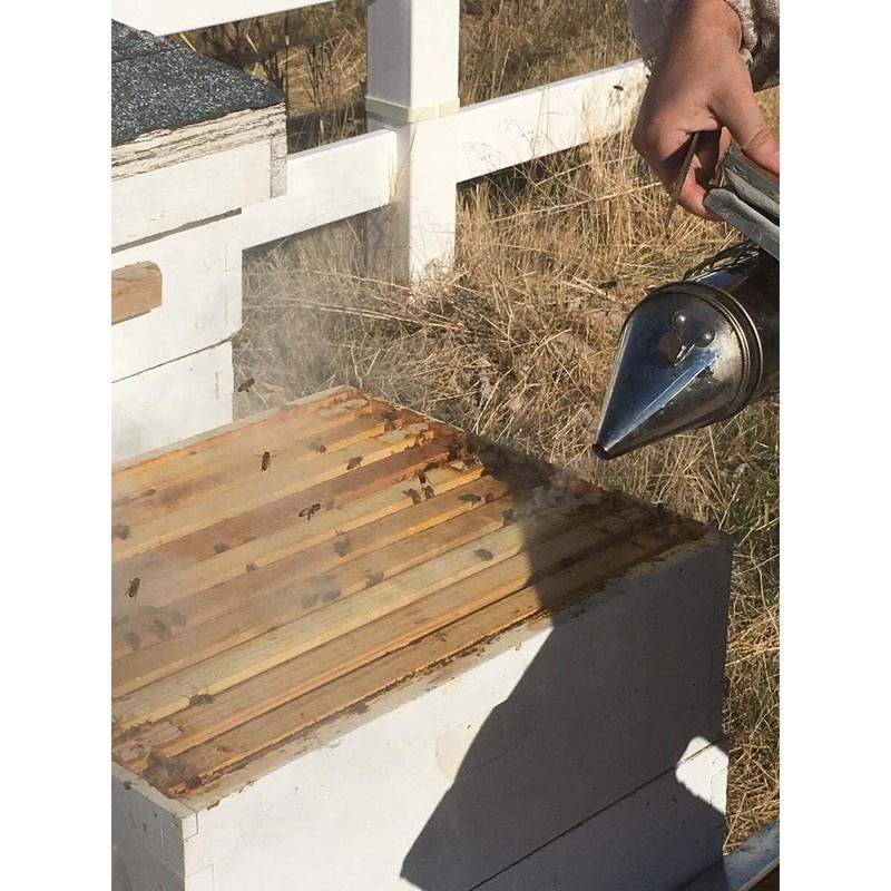 Harvest Lane Honey Standard Smoker