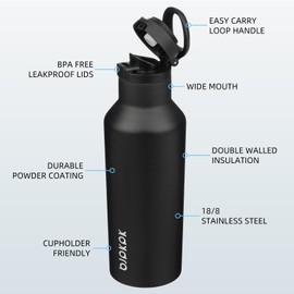 BJPKPK Insulated Water Bottle With Straw 17oz Stainless Steel Water Bottles With 2 Lids And Carry Handle Reusable Travel Metal Thermal Flask,Black