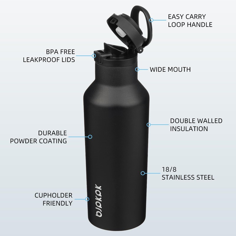 BJPKPK Insulated Water Bottle With Straw 17oz Stainless Steel Water