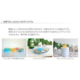 Magic Crystal, Mysterious Crystal that Grows in 10 Days, purple berry