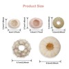 5 Pack Mini Sea Urchin Shell Hanging Pot-Air Plant Holder