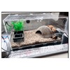 Reptile Heating Pad with Temperature Adjustment, 110V 7W Heat Mat