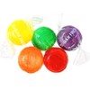 SweetGourmet Sugar Free Assorted Fruit Disks | Bulk Hard Candy