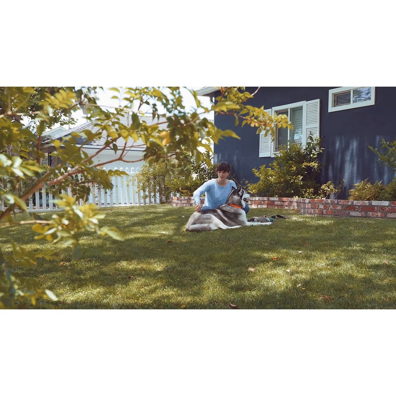 AIRROBO PG100 Pet Grooming Vacuum & 5 Grooming Tools, 12000Pa