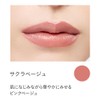 ETVOS Etovus Mineral Rouge #Cherry Beige 2g Glossy Sensitive Dry
