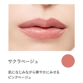 ETVOS Etovus Mineral Rouge #Cherry Beige 2g Glossy Sensitive Dry Skin Lipstick Soap Off