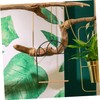 GRIRIW Parrot Stand Hummingbird Swing Portable Bird Perch Easy Hanging