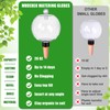 2 Pack 26 oz Extra Large Plant Self Watering Globes