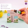 Baldini Mini Fragrance Set Good Luck Pack of 10