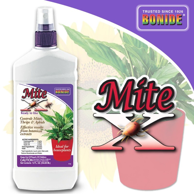Bonide Captain Jack's Mite-X for Houseplants, 12 oz Ready-to-Use Spray