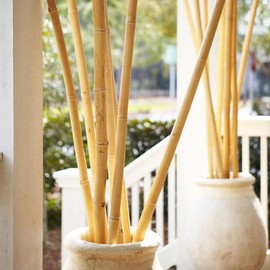 Backyard X-Scapes Natural Decorative Bamboo Poles for Fences Garden Stakes 1" D x 90" L (25-Pack)