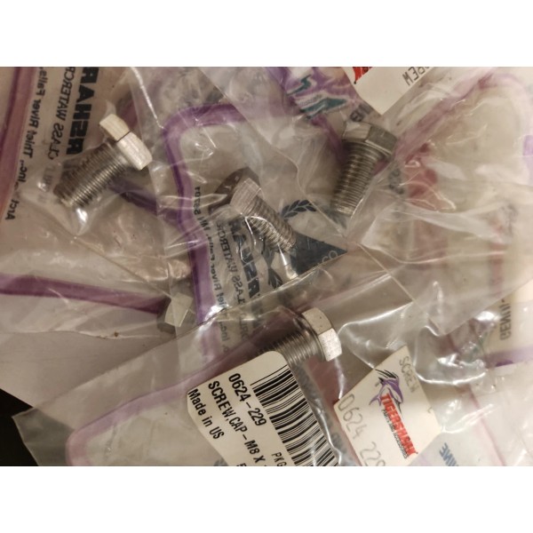 Arctic Cat Tigershark M8x16 SS Din933 Bolt 0624-229 Lot of