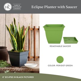 The HC Companies 8 Inch Eclipse Square Planter with Saucer – Indoor Outdoor Plant Pot for Flowers Vegetables Herbs, Peridot Green