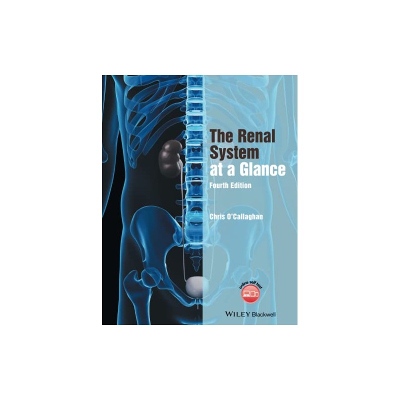 The Renal System at a Glance