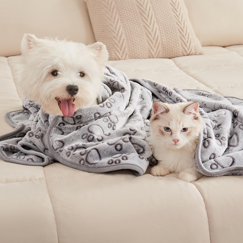 luciphia Dog Blanket Cat Blankets Washable Fluffy 1 Pack 3