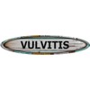 Vulvitis Long Oval Shaped Weathered Rustic Painted Wood Look Magnet